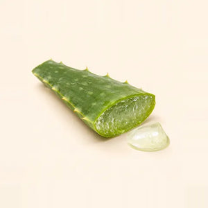 Aloe: a cut aloe vera leaf with its clear gel
